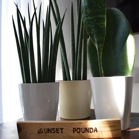 Sunset Aparthotel Pounda